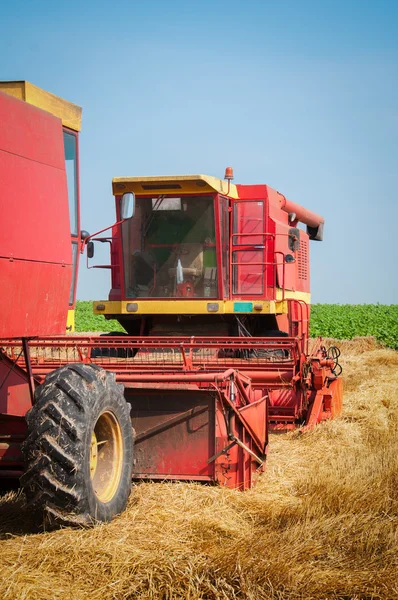 Комбайн, работающий на пшеничном поле — стоковое фото