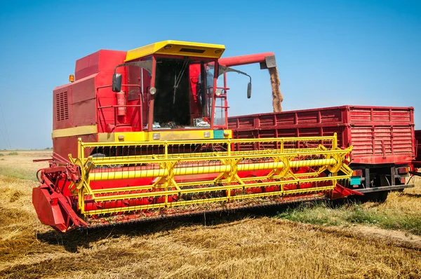 Combinar la cosecha de trigo — Foto de Stock