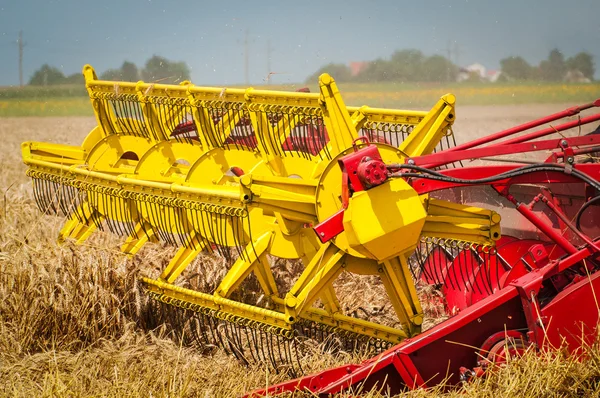 Combine harvesting wheat — Stock Photo, Image