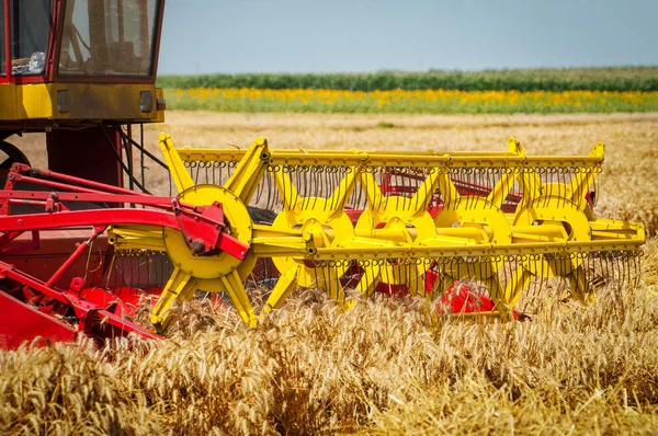 Об'єднати збирання пшениці — стокове фото