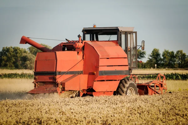 Combina la raccolta del grano — Foto Stock