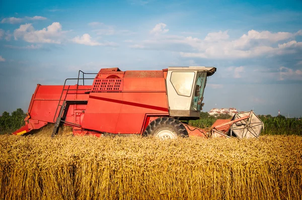 Kombinovat, sklizeň pšenice — Stock fotografie