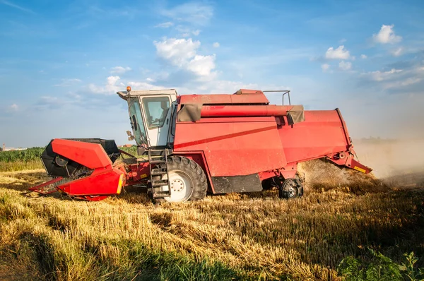 Combina la raccolta del grano — Foto Stock