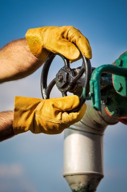 petrol işçisi dönüş vanası