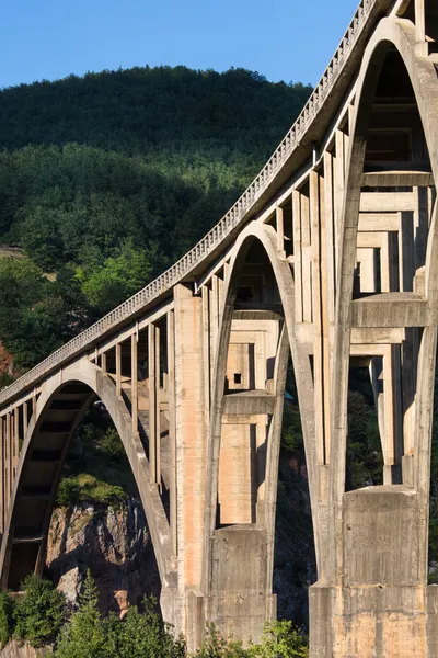 Puente sobre el río Tara — Foto de Stock