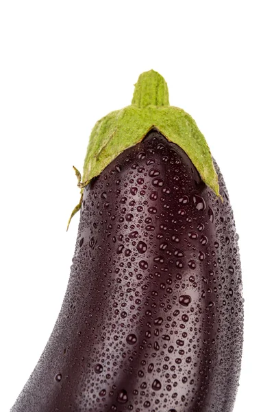 Aubergine geïsoleerd op wit — Stockfoto