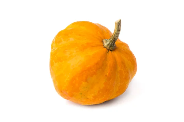Pumpkins isolated — Stock Photo, Image