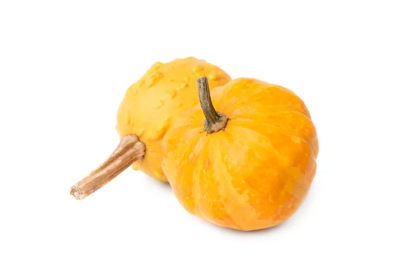 Pumpkins isolated — Stock Photo, Image