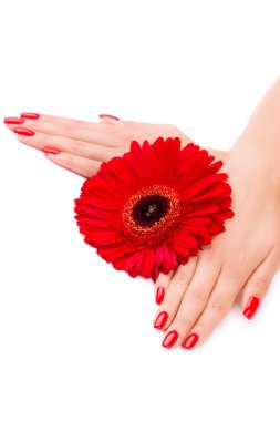 manikürlü tırnaklar