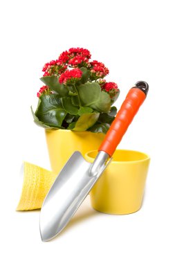 bahçe araçları beyaz üzerinde izole