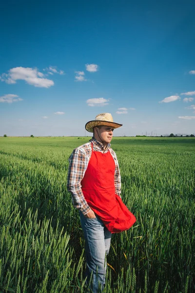 Bauer auf dem Feld — Stockfoto