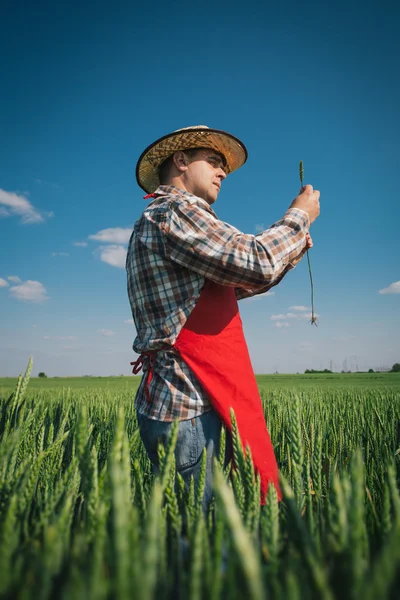 Jordbrukare ute på fältet — Stockfoto