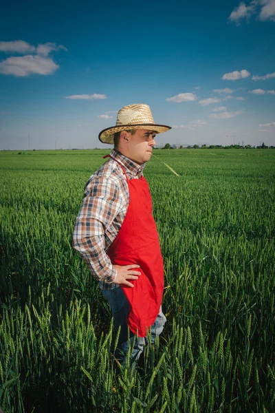 Jordbrukare ute på fältet — Stockfoto