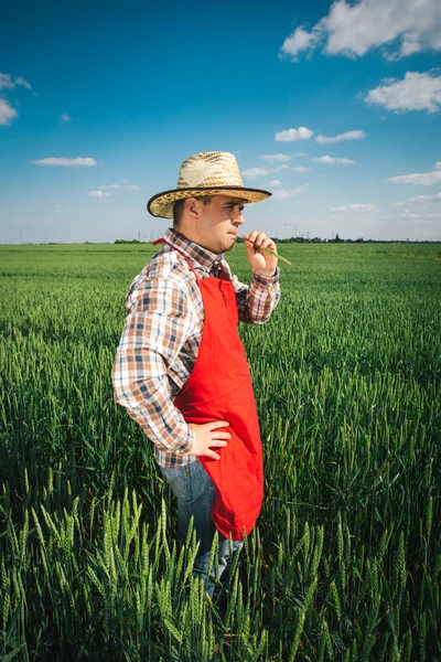 Jordbrukare ute på fältet — Stockfoto