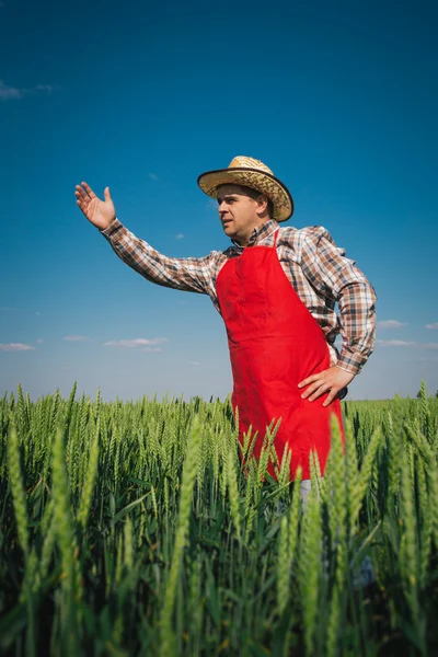 Agricoltore nel campo — Foto Stock