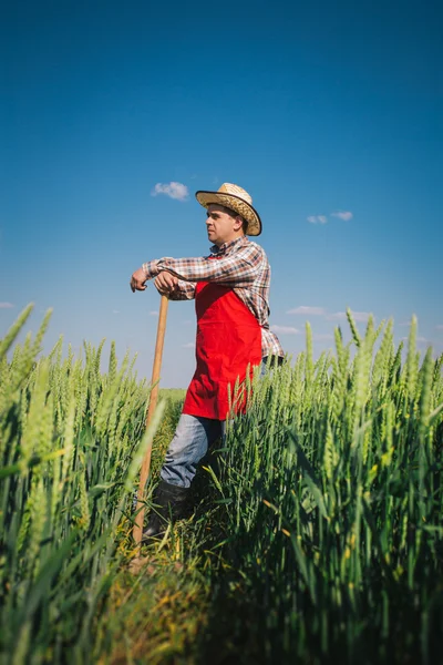 Αγρότης σε αγρό — Φωτογραφία Αρχείου
