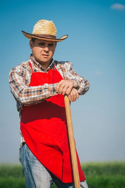 Jordbrukare ute på fältet — Stockfoto