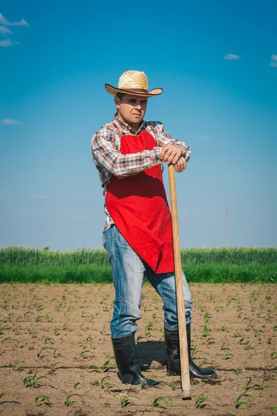 Tarladaki çiftçi — Stok fotoğraf