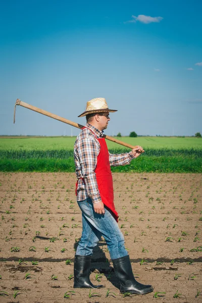 Landbouwer in het veld — Stockfoto