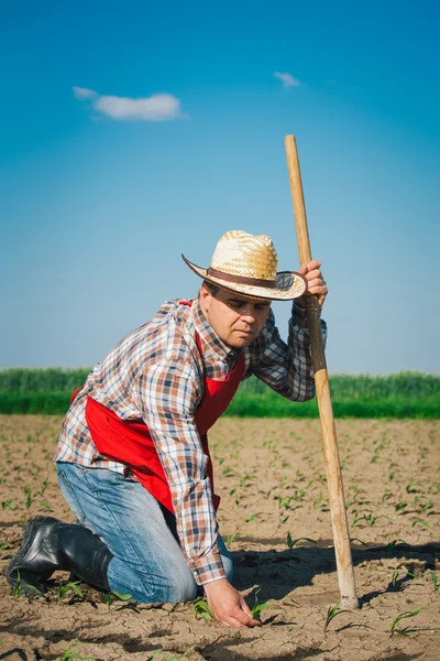 Jordbrukare ute på fältet — Stockfoto