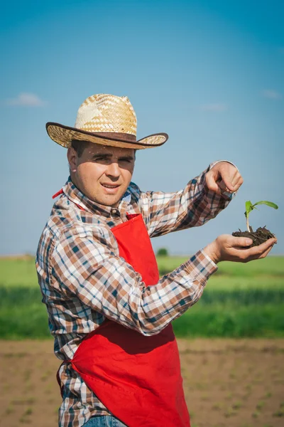 Agricultor no terreno — Fotografia de Stock
