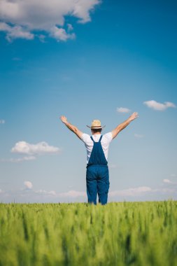 buğday çiftçi Happy