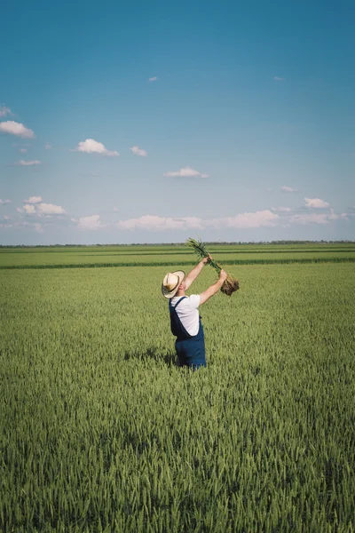 Agricoltore nel campo — Foto Stock