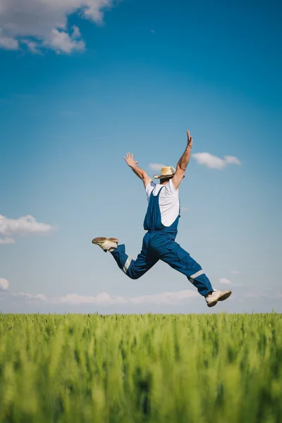 Fazendeiro feliz no trigo — Fotografia de Stock