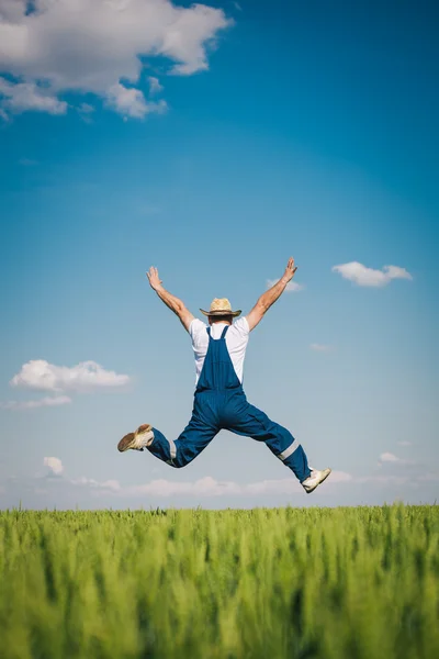 Fazendeiro feliz no trigo — Fotografia de Stock