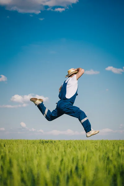 Happy farmer in the wheat — Stock Photo, Image