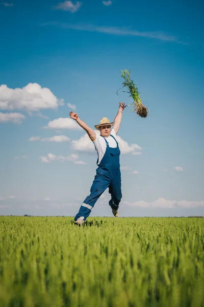 Feliz granjero en el trigo — Foto de Stock
