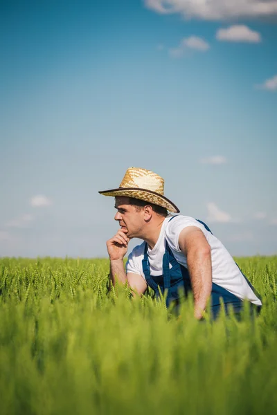 Landbouwer in het veld — Stockfoto