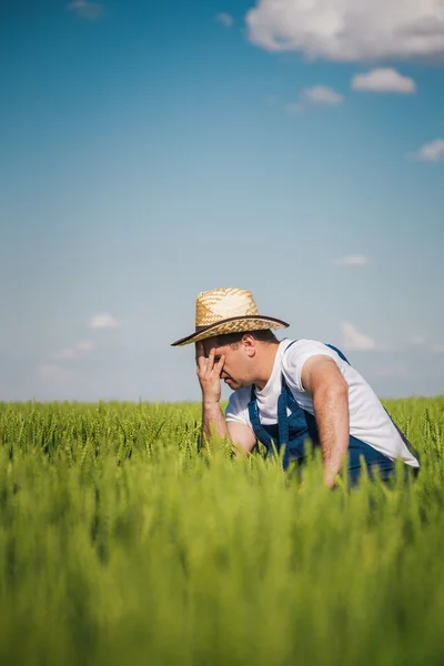 Mezőgazdasági termelő a mezőn — Stock Fotó
