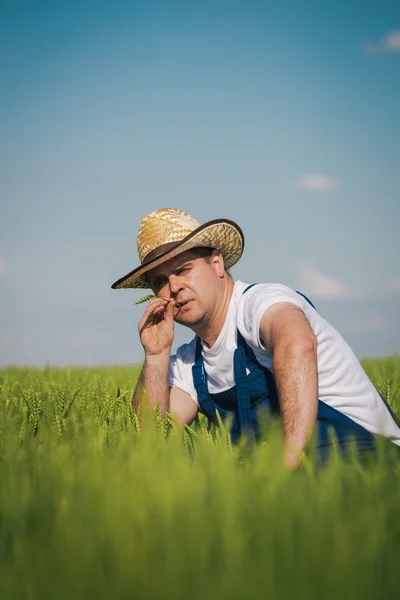 Agricultor en el campo — Foto de Stock