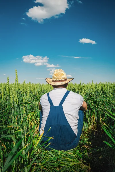 Agricultor no terreno — Fotografia de Stock