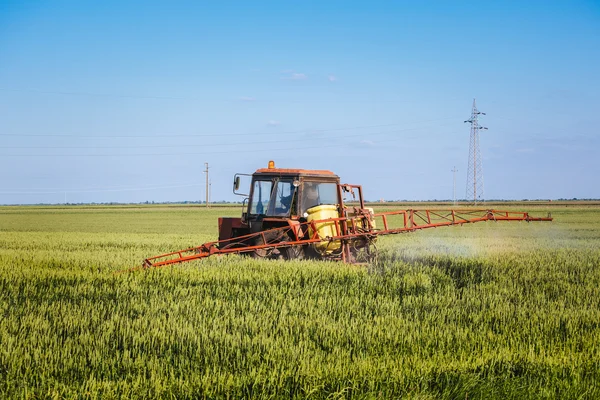 Трактор опрыскивает пшеничное поле опрыскивателем — стоковое фото