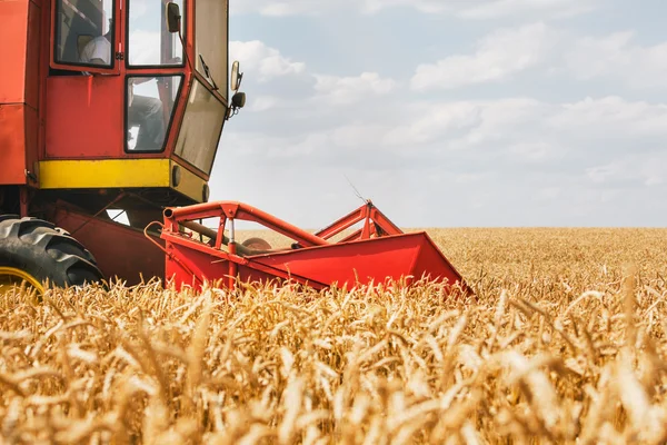 Combine harvesting wheat — Stock Photo, Image