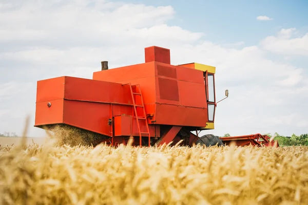 Combinar la cosecha de trigo — Foto de Stock