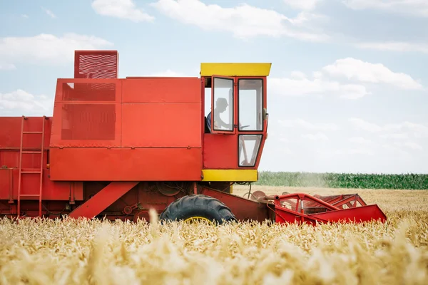 Combine harvesting wheat — Stock Photo, Image