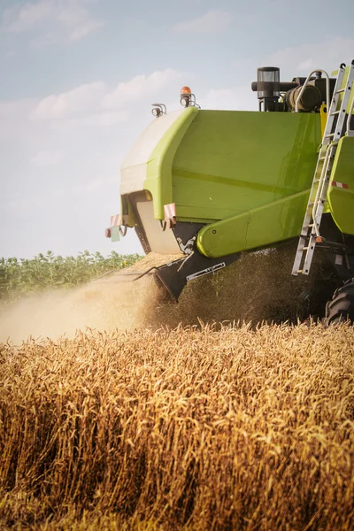 Combinar o trigo de colheita — Fotografia de Stock