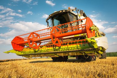 buğday hasat birleştirmek
