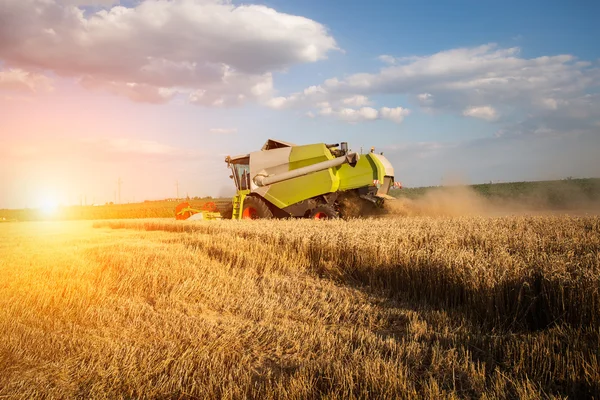 Combiner la récolte du blé — Photo