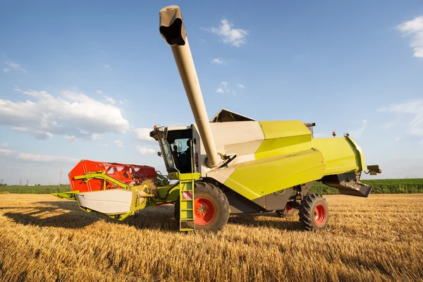 Combine harvesting wheat — Stock Photo, Image