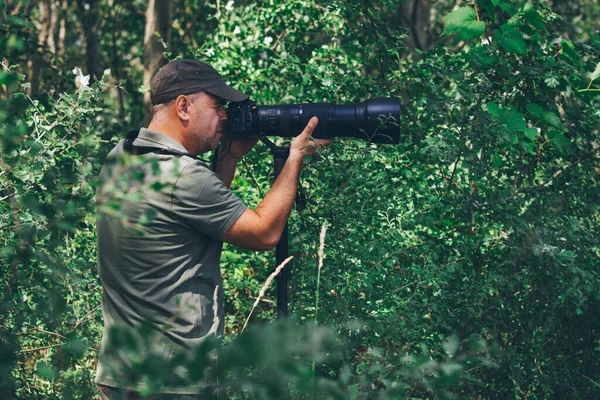 Vahşi Yaşam Fotoğrafçısı Profesyonel Fotoğrafçı — Stok fotoğraf