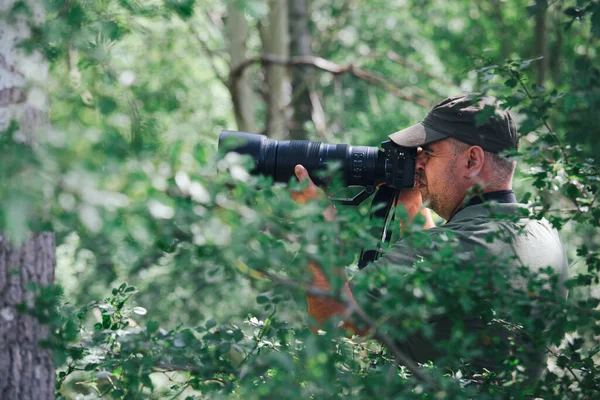 Fotógrafo Vida Selvagem Livre Fotógrafo Profissional Natureza Fotografia De Stock