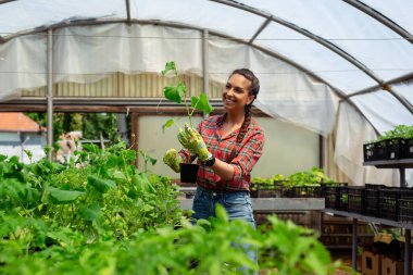 serada çalışan güzel kadın kreş işçi