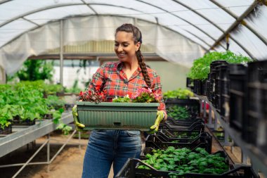 serada çalışan güzel kadın kreş işçi