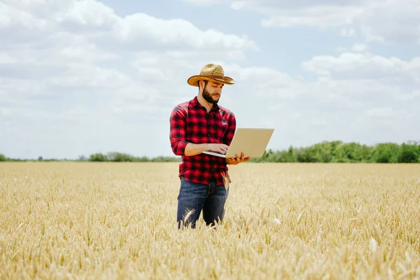 Businessman Laptop Her Hands Works Wheat Field Communicates Checks Harvest — Stock Photo, Image