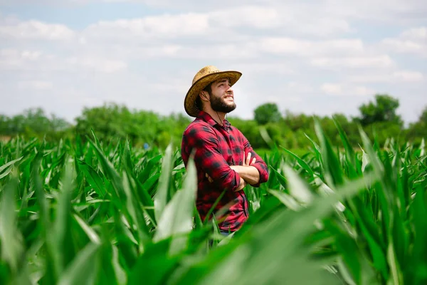 Porträt Eines Bauern Der Auf Einem Maisfeld Steht — Stockfoto