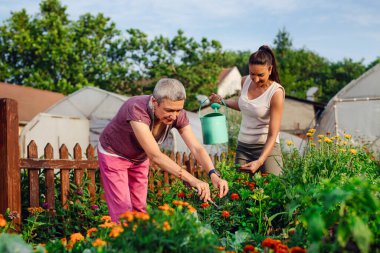 Bahçedeki çiçekleri sulayan bahçıvan kadın